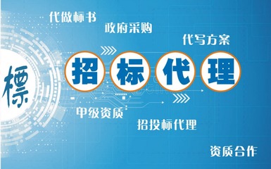湛江招投标代理服务全指南 代写标书、编制预算、资质合作一网打尽